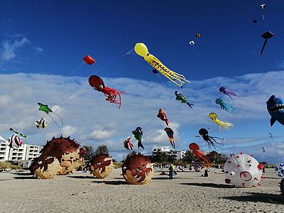 Bunte Drachen in Form von Fischen, Kraken und Kugelfischen schweben über dem San